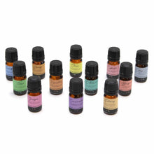 Load image into Gallery viewer, Aromatherapy Essential Oil Set - Autumn Set TapClickBuy