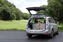 Load image into Gallery viewer, BBA Car Seat Pet Cover Protector  PSC-16 TWL-1299 GREY TapClickBuy