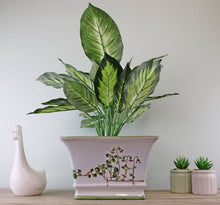 Load image into Gallery viewer, Ceramic Rectangular Planter, Width 25cm TapClickBuy