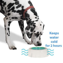 Load image into Gallery viewer, DISC Smart Choice Cool Water Pet Cooling Bowl Keep Cold 450ml DGI-2247 chill TapClickBuy