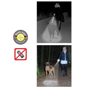 DNO Gor Pets DOG-e-Lite 2.5cm x 180cm Black Lite/Black Leash TapClickBuy