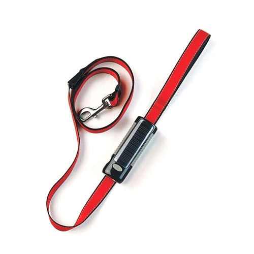 DNO Gor Pets DOG-e-Lite 2.5cm x 180cm Black Lite/Red Leash TapClickBuy
