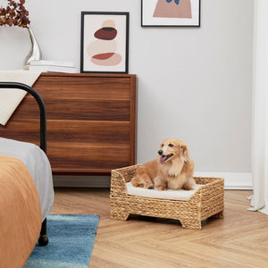 Indoor Wicker Cat/Dog Elevated Bed & Washable Cushion ST-N10002-UK TapClickBuy