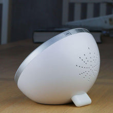 Load image into Gallery viewer, LifeLight SAD Daylight Therapy Light TapClickBuy