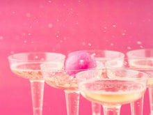 Load image into Gallery viewer, PROSECCO ADULT FUN DRINKING GAME 12 GLASSES ACTIVITY PARTY PONG GAME XMAS GIFT TapClickBuy