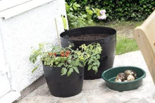 Load image into Gallery viewer, Whitefurze 50cm Black Barrel Planter TapClickBuy